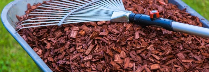 Rindenmulch in einer Schubkarre